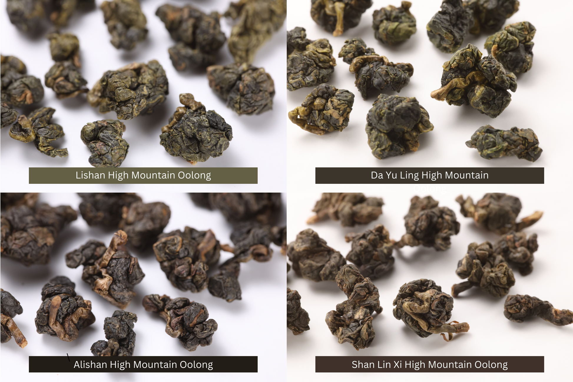 High Mountain Oolong Pack: Lishan, Da Yu Ling, Alishan and Shan Lin Xi