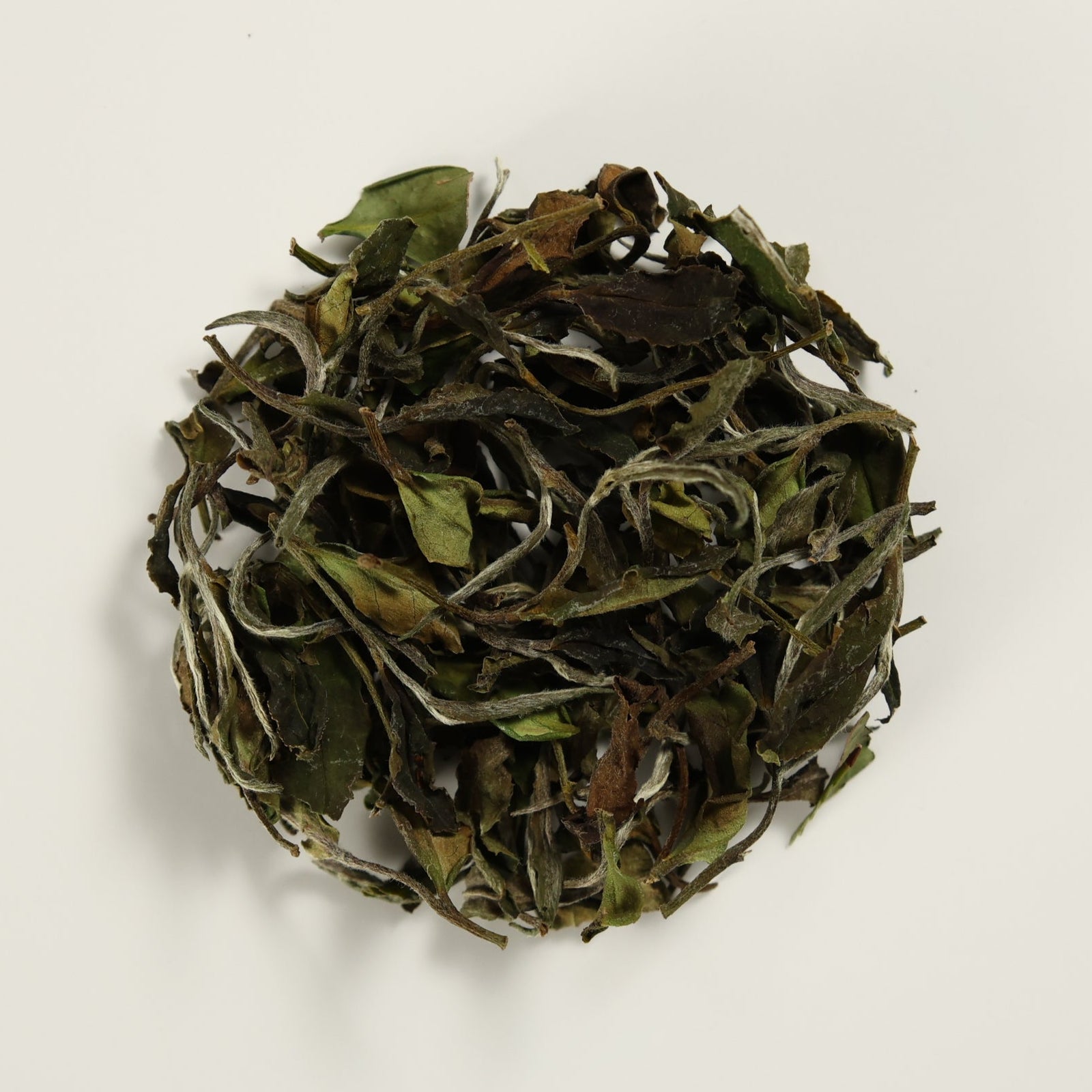 Jade White Tea Dry Leaves 