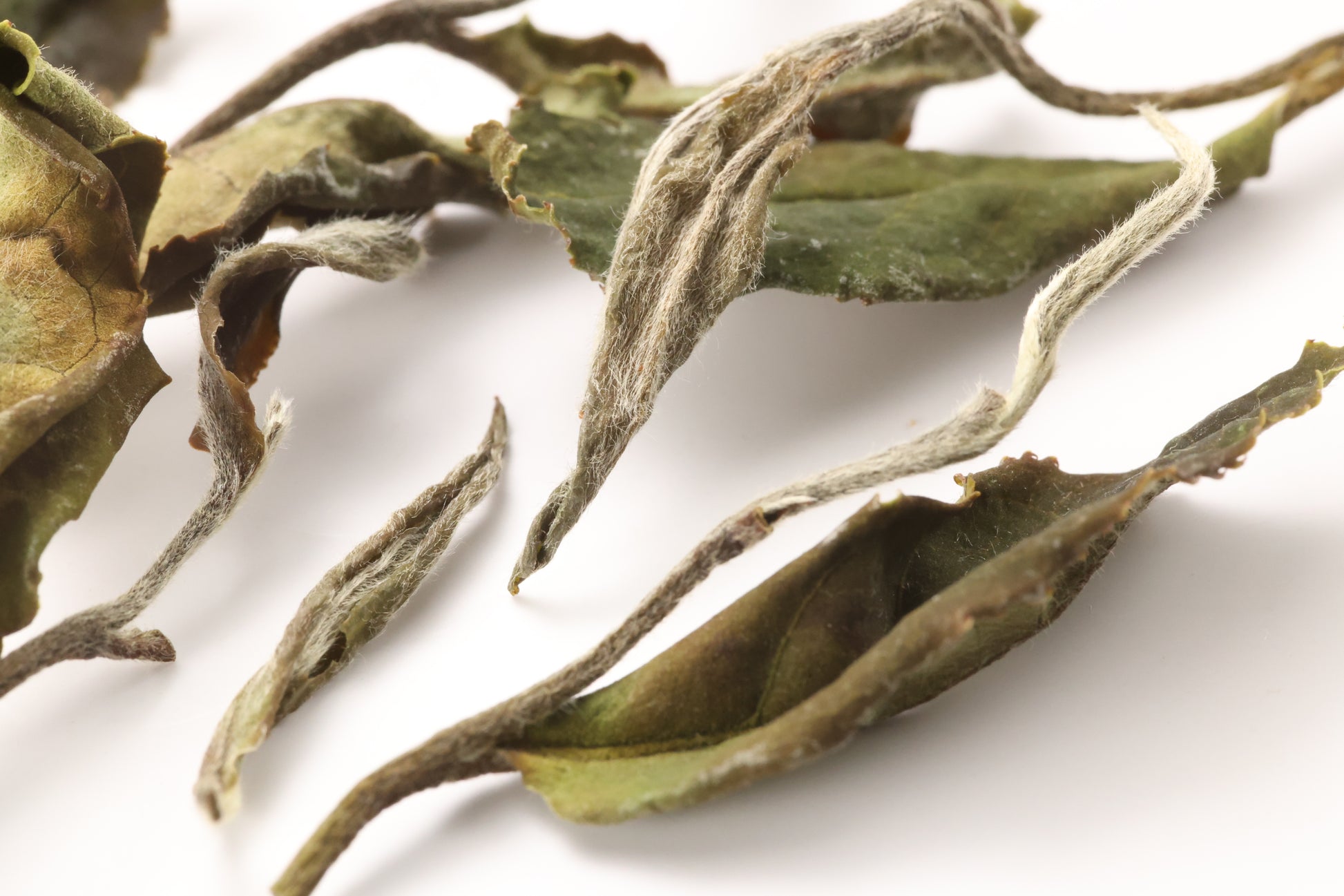 Jade White Tea Macro Shot