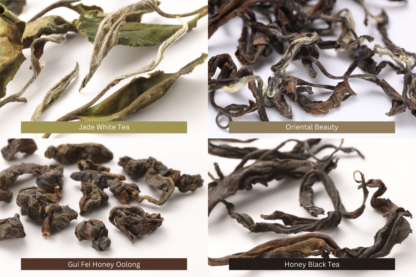 Leaf Hopper Bitten Teas Pack: Jade White Tea, Oriental Beauty, Gui Fei, Honey Black Tea