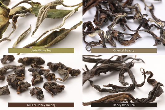 Leaf Hopper Bitten Teas Pack: Jade White Tea, Oriental Beauty, Gui Fei, Honey Black Tea
