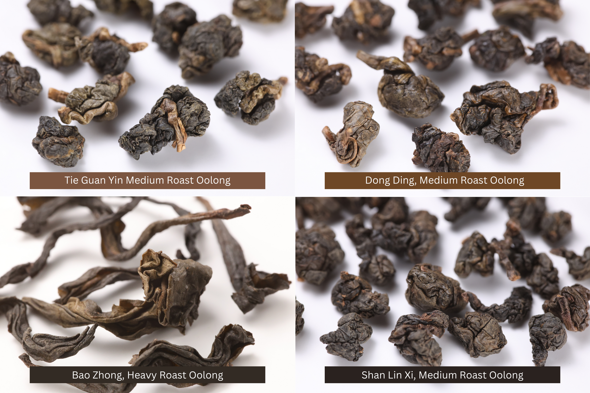 Taiwanese Roasted Oolong Pack: Tie Guan Yin, Dong Ding, Bao Zhong, Shan Lin Xi