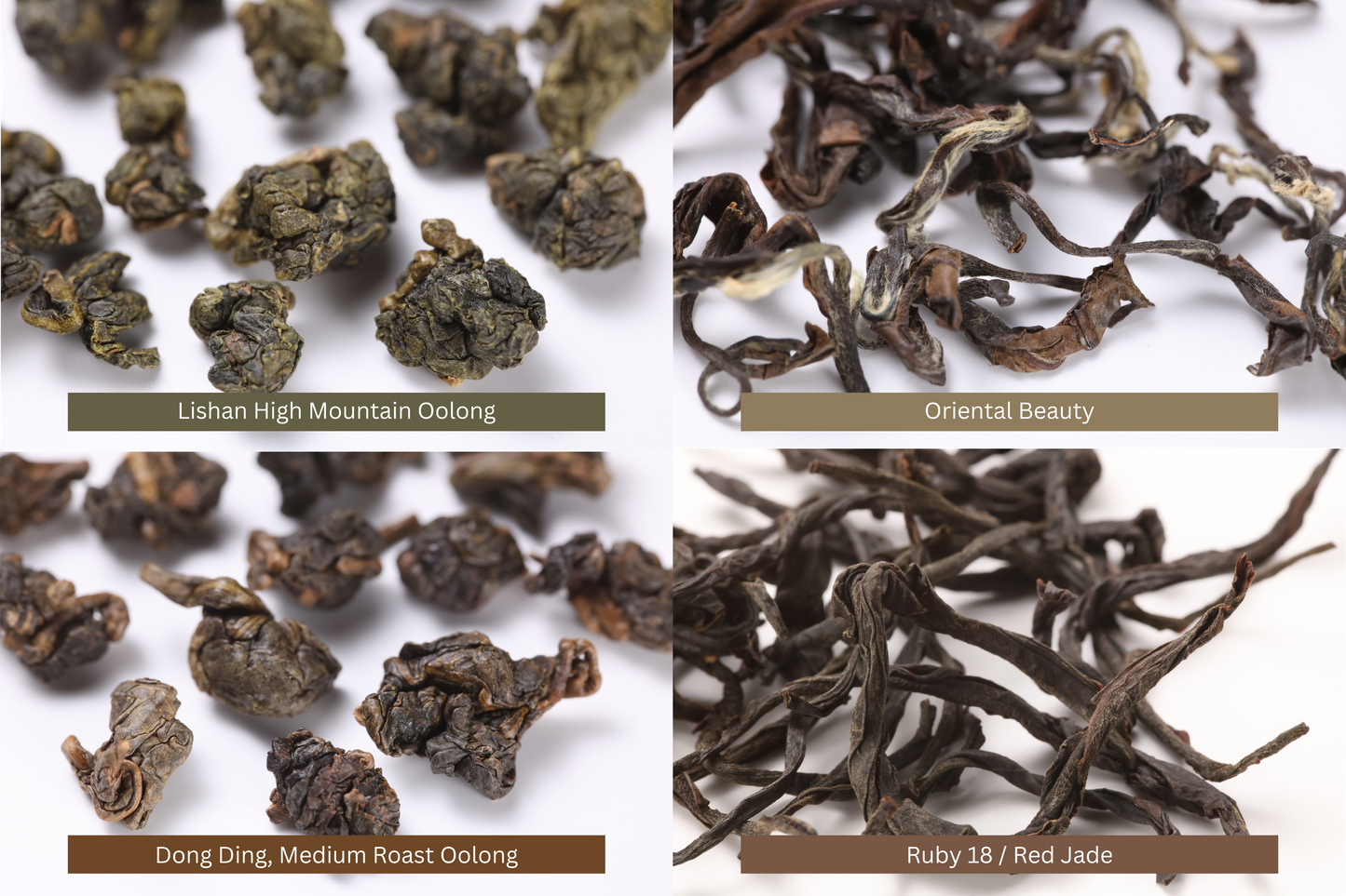 Taiwanese Tea - Mini Sampler 2: Lishan High Mountain Oolong, Oriental Beauty Oolong, Dong Ding Oolong, Ruby 18 / Red Jade Black Tea