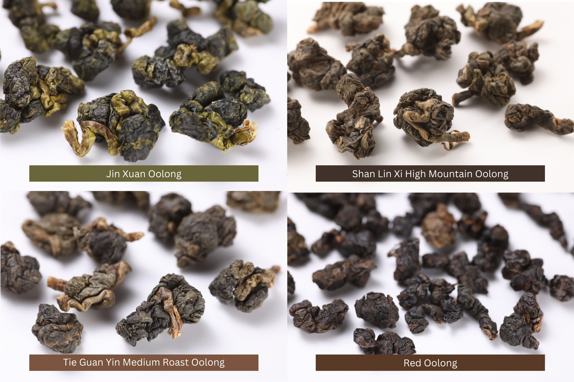Taiwanese Tea - Mini Sampler 1: Jin Xuan Oolong, Shan Lin Xi High Mountain Oolong, Tie Guan Yin Oolong, Red Oolong